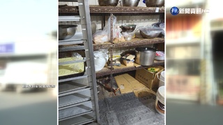 麵包店環境髒亂 衛生局稽查赫見"蟑螂屎"