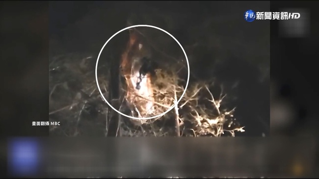 南韓空軍KF-16C戰機墜毀 飛行員彈射逃生 | 華視新聞