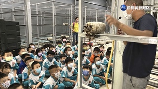 【台語新聞】學童戶外體驗食農教育! 首度體驗洗愛玉