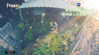 森林在我家!歡迎光臨 "植"人綠生活