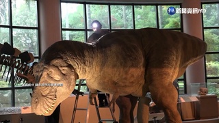 疫情影響等3年! 日本技師赴台修復"電動恐龍"