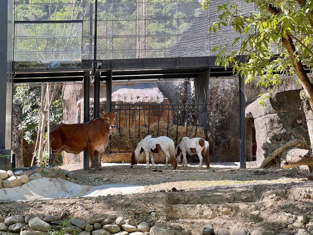 圖片翻攝自 高雄壽山動物園