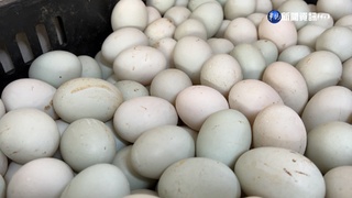 鴨蛋20顆50元佛心價! 業者:因為雞蛋漲太多