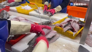 班班吃石斑跳票?國教署:一定讓學生如期吃到4次