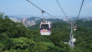 超狂跨年新體驗！在貓纜上高空俯瞰101煙火 快手刀搶票