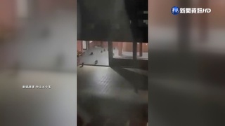 近50隻獼猴"半夜大集結" 學生戲稱"瘋世足"