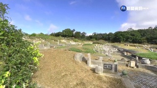 新社花毯節附近公墓 30多歲男疑遭毆死棄屍