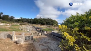 台中新社公墓棄屍案 9詐團成員涉殺人罪收押