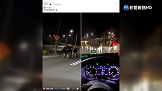 乳牛夜遊逛大街 警力出動攔截圍捕