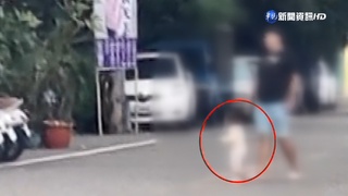 嚇!馬路中驚見"幼兒學步" 車閃急剎險衝撞