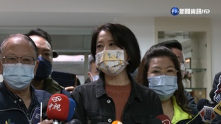 立委補選王鴻薇民調領先6-8% 藍綠決戰中山區