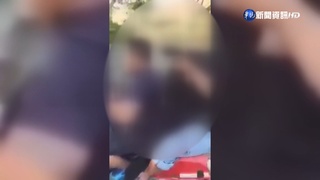 台灣黑熊"三貼"乘車 後方機車驚見獵槍!