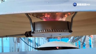 周末寒流襲! 憂小雞易失溫.雞農提早備戰