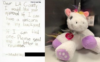 美國女童想養獨角獸寫信求助 政府部門發「獨角獸執照」超暖