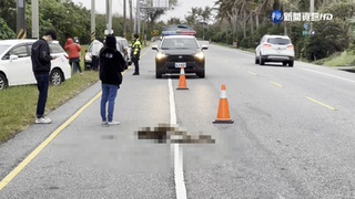 梅花鹿突竄出台11被撞亡 1家3口驚嚇