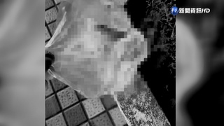 詭異男天公爐埋生雞頭 疑同上月犯案男子