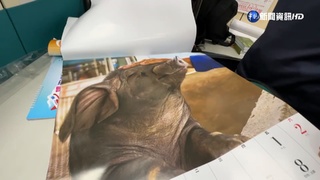 "呈現農民生活"嶄新樣貌 小黑豬月曆引熱議