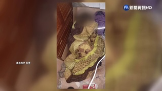 確診怕傳染家人...婦寒流睡陽台 警掏8千援助