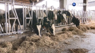 牛奶滯銷"班班有牛奶"? 陳吉仲:產銷管道協助