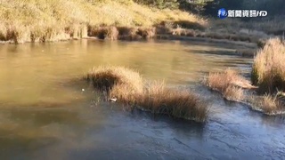 福壽山凌晨"零下4度" 天寒地凍湖面結冰