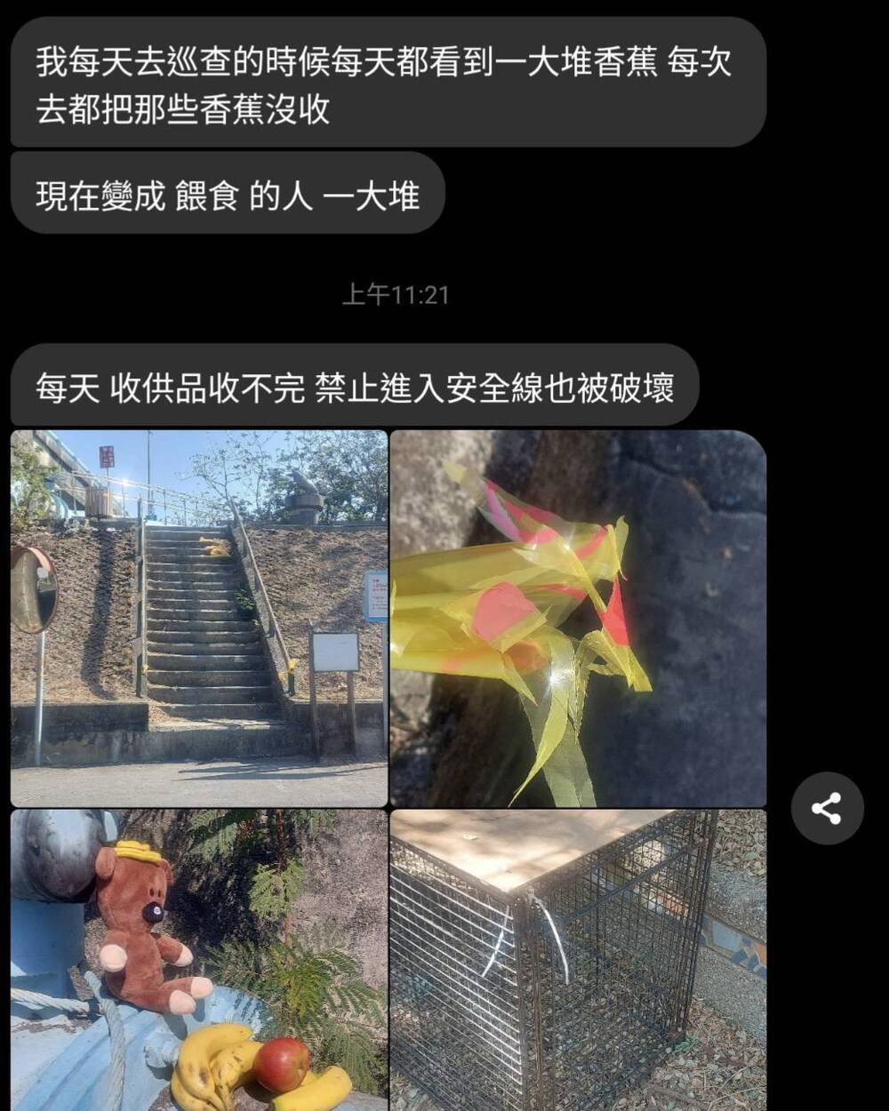 圖片來源 台灣獼猴共存推廣協會