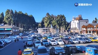 星馬遊客湧入阿里山 飯店住房率開紅盤
