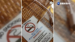 免洗筷當門栓.蟑螂爬床邊 飯店房客崩潰!