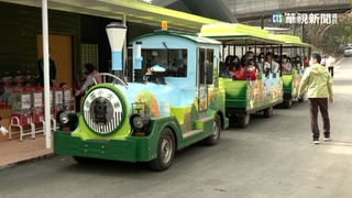 動物明星陪歡度年末 壽山動物園湧人潮
