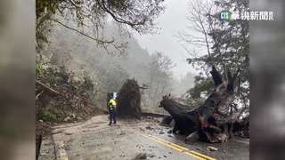 土石坍方阻通行 太平山元旦延至8:00開園