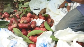 心疼!高雄六龜蓮霧"凍到裂" 寒害農損達三成