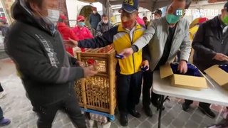 紫南宮兔年錢母! 逾10萬民眾瘋搶 隊伍長7公里