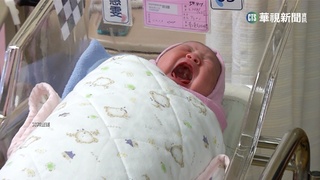 生肖怎麼算才對? 命理老師:從節氣"立春"起算