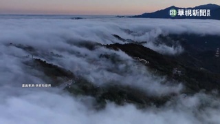 苗栗大湖薑麻園雲海 宛如金黃瀑布傾洩