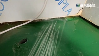 露營驚魂! 浴室有縫民眾洗澡遭人偷拍