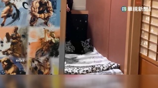 24歲女網咖生產涉嫌害死兒 遭裁定收押禁見