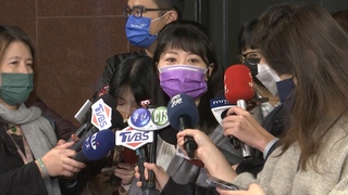 基層湧開除、落選聲浪！高嘉瑜言論遭黨內反彈 道歉喊「吾日三省吾身」