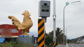 台11線"金雞母" 富岡測速桿去年取締1.8萬件