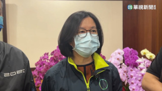 綠營廉政會今晚開會 邱莉莉.林志展自請停止黨權