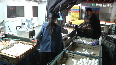 雞蛋爆日缺百萬顆 每台斤喊到破50元