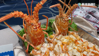 澳洲龍蝦進口量暴增 立委質疑連江成走私中繼站