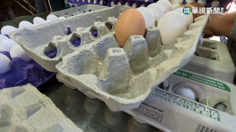 美禽流感衝擊蛋飆漲 夏威夷12顆賣3百台幣