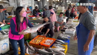 最後一批烏魚抵達! 捕獲數量增.烏魚殼價格砍半