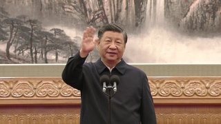 習近平視訊拜年　稱中國防疫是正確選擇