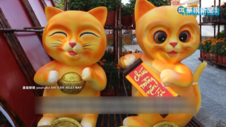 越南過「貓年」不過兔年？　越南年貨大街充滿貓圖樣