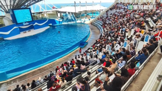 好天氣就是要走春 太平山.海洋公園湧人潮