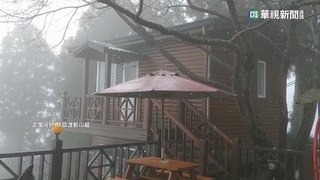 寒流來襲！　拉拉山下雪　白雪紛飛民眾搶拍