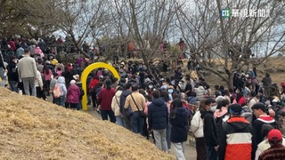 初三走春「趣」　清境農場估破7千人買票入園