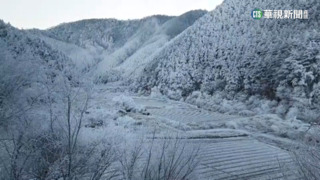 銀白世界！　太平山霧淞.台東下雪.新竹有冰霰