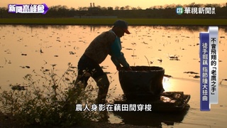 徒手掘藕指節腫脹扭曲 "老鷹之手"記錄土地情感