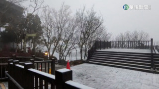 寒流報到！　宜蘭太平山降冰霰　思源埡口飄雪